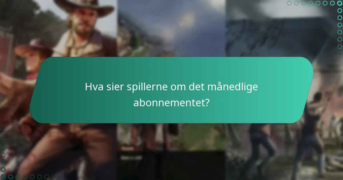 Hva sier spillerne om det månedlige abonnementet?